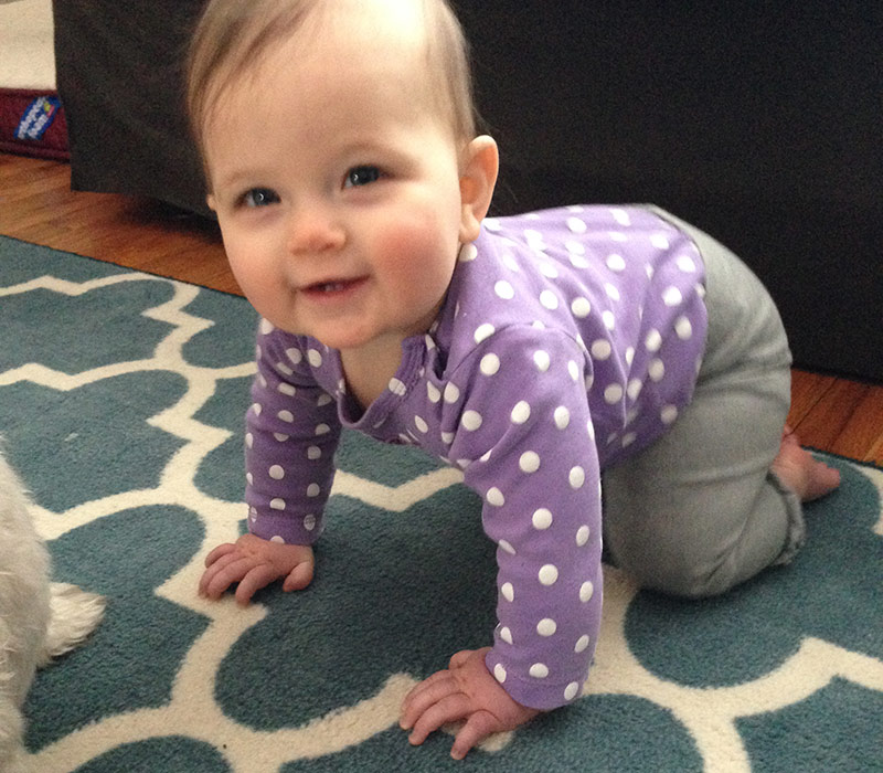 Practicing our crawling