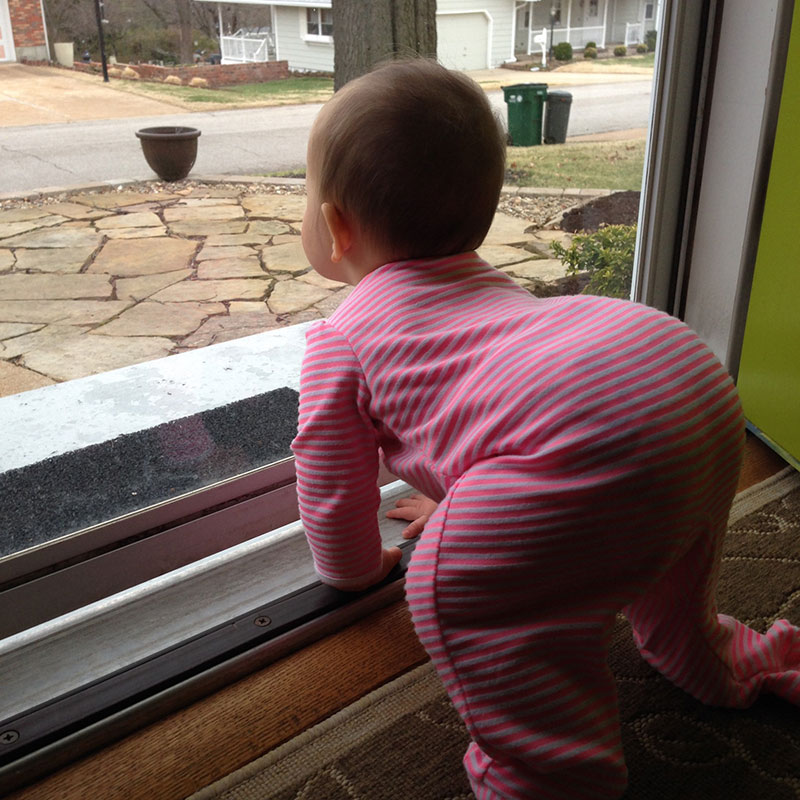 Loves waiting at the door for daddy to come back from runs