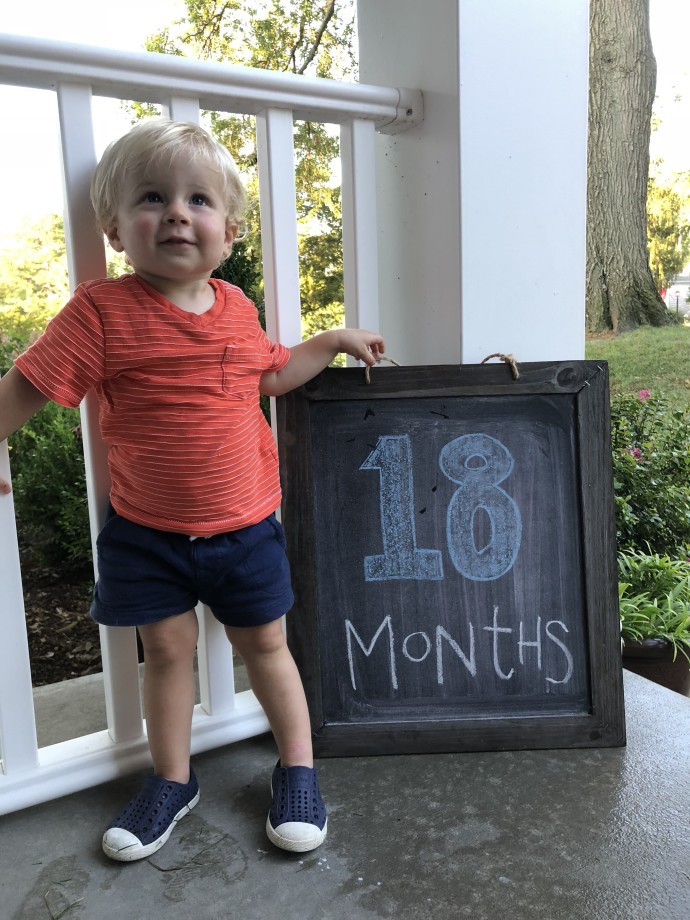 Noah: 18 Months